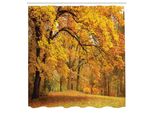 Abakuhaus Tenda Da Doccia Bosco, Foglie Gialle Cadute Sbiadite Rami Paesaggio Bosco Novembre Stagione Autunnale, Tessuto Set Decorativo Per Bagno Con Ganci, 175X240 Cm, Arancione E Marrone
