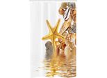 Abakuhaus Tenda Da Doccia Stretta, Conchiglie E Stelle Marine, Set Decorativo Per Bagno In Tessuto Con Ganci, 120 X 180 Cm, Marrone Giallo Crema
