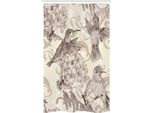 Abakuhaus Tenda Da Doccia Stretta Kolibri, Uccelli Antichi E Fiori, Set Decorativo Per Bagno In Tessuto Con Ganci, 120 X 180 Cm, Crema Beige Marrone