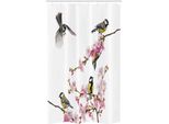 Abakuhaus Tenda Da Doccia Colorata E Stretta, Fiori E Colibrì, Set Decorativo Per Bagno In Tessuto Con Ganci, 120 X 180 Cm, Multicolore