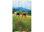 Abakuhaus Cavallo Tenda Da Doccia Stretta, Paesaggio Motivo Rurale, Set Decorativo Per Bagno In Tessuto Con Ganci, 120 X 180 Cm, Multicolore