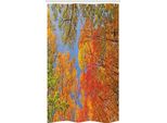 Abakuhaus Tenda Da Doccia Stretta, Bosco In Autunno, Set Decorativo Per Bagno In Tessuto Con Ganci, 120 X 180 Cm, Arancione Verde Blu