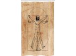 Abakuhaus Anatomia Tenda Da Doccia Stretta, Pittura Umana, Set Decorativo Per Bagno In Tessuto Con Ganci, 120 X 180 Cm, Seppia