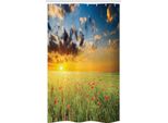 Abakuhaus Tenda Da Doccia Stretta Naturale, Tramonto Sul Prato Poppy, Set Decorativo Per Bagno In Tessuto Con Ganci, 120 X 180 Cm, Verde Blu Rosso