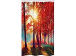 Abakuhaus Rosso Tenda Da Doccia Stretta, Foggy Parco Autunnale Panoramico, Set Decorativo Per Bagno In Tessuto Con Ganci, 120 X 180 Cm, Arancione Giallo Verde Acqua