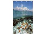 Abakuhaus Tenda Da Doccia Stretta Con Motivo A Stelle Marine, Cielo, Nuvole E Mare, Set Decorativo Per Bagno In Tessuto Con Ganci, 120 X 180 Cm, Multicolore