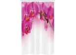 Abakuhaus Orchidea Tenda Da Doccia Stretta, Orchidea Esotica Feng Shui, Set Decorativo Per Bagno In Tessuto Con Ganci, 120 X 180 Cm, Multicolore