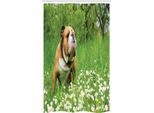 Abakuhaus Bulldog Inglese Tenda Da Doccia Stretta, Blossom Margherite, Set Decorativo Per Bagno In Tessuto Con Ganci, 120 X 180 Cm, Verde Marrone Marrone Bianco
