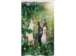 Abakuhaus Chicks Tenda Da Doccia Stretta, Piccoli Polli Tra Le Margherite, Set Decorativo Per Bagno In Tessuto Con Ganci, 120 X 180 Cm, Multicolore