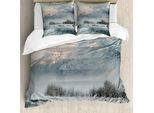 Abakuhaus Alaska Copripiumino, Scena Invernale Del Nord, Antiacaro, Adatto A Chi Soffre Di Allergie, Con Federe, 155 Cm X 220 Cm - 80 X 80 Cm, Grigio Bianco