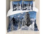 Abakuhaus Alaska Copripiumino, Stagione Invernale Al Nord, Antiacaro, Adatto A Chi Soffre Di Allergie, Con Federe, 155 Cm X 220 Cm - 80 X 80 Cm, Bianco, Azzurro, Marrone