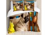 Abakuhaus Copripiumino Mops, Fotografia Di Cuccioli Su Panchina, Antiacaro, Adatto A Chi Soffre Di Allergie, Con Federe, 200 Cm X 200 Cm - 80 X 80 Cm, Marrone Chiaro Giallo Blu