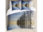 Abakuhaus Copripiumino Paesaggio, Lago Ghiacciato Nella Natura, Antiacaro Adatto A Chi Soffre Di Allergie Con Federe, 200 Cm X 200 Cm - 80 X 80 Cm, Blu, Marrone,