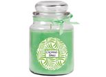 Candela Profumata Con Scritta "Coconut-Limes"" In Un Barattolo Di Caramelle, 500 G Di Cera - Durata Di Combustione Circa 110 Ore, Candela In Barattolo In Confezione Regalo"