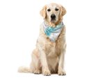 Abakuhaus Bandana Astratta Per Animali Domestici, Disegno Classico Floreale, 40X40 Cm, Verde Acqua Turchese Bianco