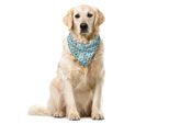 Abakuhaus Bandana Per Animali Domestici, Aerei Ed Elicotteri, 40X40 Cm, Giallo E Blu
