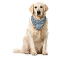 Abakuhaus Bandana Per Animali Domestici Mandala, Motivo Ripetuto, 55X55 Cm, Verde Reseda Baby Blue