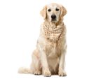 Abakuhaus Bandana Per Animali Domestici Arancione Marrone, Piastrelle Diagonali, 40X40 Cm, Arancione Chiaro