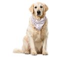 Abakuhaus Bandana Per Animali Domestici Con Fiori, Linee Di Fiori Contigue, 40X40 Cm, Rosa Chiaro E Bianco