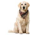Abakuhaus Bandana Africana Per Animali Domestici, Disegno A Righe, 55X55 Cm, Multicolore