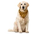 Abakuhaus Zambia Bandana Per Animali Domestici, Effetti Kenioti, 40X40 Cm, Giallo, Marrone, Verde
