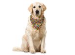 Abakuhaus Bandana Per Animali Domestici Vintage, Stile Geometrico Funky, 40X40 Cm, Multicolore