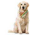 Abakuhaus Bandana Natalizia Per Animali Domestici, Bordi Tradizionali, 55X55 Cm, Verde Lime, Giallo, Rosso