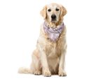 Abakuhaus Paris Bandana Per Animali Domestici, Parole Nostalgiche, 40X40 Cm, Multicolore