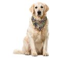 Abakuhaus Bandana Astratta Per Animali Domestici, Eastern Doodle Paisley, 55X55 Cm, Multicolore
