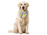 Abakuhaus Bandana Geometrica Per Animali Domestici, Motivo Paisley Astratto, 40X40 Cm, Giallo, Verde, Grigio Bianco