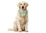 Abakuhaus Bandana Verde Per Animali Domestici, Fiori Botanici Vintage, 55X55 Cm, Crema Azzurro Pallido