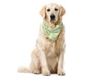 Abakuhaus Bandana Per Animali Domestici, Disegno Giocattolo Con Scarabocchi Cartoon, 55X55 Cm, Verde Pallido
