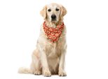 Abakuhaus Bandana Per Animali Domestici Ikat, Forme Ovali Grunge Vintage, 40X40 Cm, Arancione Beige