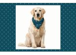 Abakuhaus Fleur De Lis Bandana Per Animali Domestici, Design Medievale, 40X40 Cm, Blu Grigio