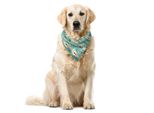 Abakuhaus Bandana Per Animali Domestici Turchese, Pois Tradizionali, 55X55 Cm, Turchese-Marrone-Crema