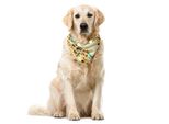 Abakuhaus Bandana Africana Per Animali Domestici, Motivo Storico, 55X55 Cm, Multicolore