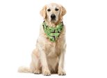 Abakuhaus Mid-Century Pet Bandana, Atomic Boomerang, 55X55 Cm, Verde Mela Indaco