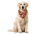 Abakuhaus Bandana Per Animali Domestici Mid-Century, Motley Art Deco, 40X40 Cm, Multicolore