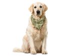 Abakuhaus Bandana Per Animali Domestici Vintage, Uccelli Folcloristici E Mandala, 40X40 Cm, Multicolore