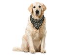 Abakuhaus Bandana Per Animali Domestici Con Motivo Floreale, Doodle Fioritura Primaverile, 40X40 Cm, Giallo Pallido Azzurro