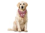 Abakuhaus 4 Luglio Bandana Per Animali Domestici, Stars Of Freedom, 55X55 Cm, Blu Reale Beige Rosso