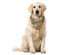 Abakuhaus Bandana Per Animali Domestici Vintage, Fiori Grunge, 55X55 Cm, Multicolore