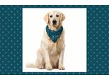 Abakuhaus Fleur De Lis Bandana Per Animali Domestici, Design Medievale, 55X55 Cm, Blu Grigio