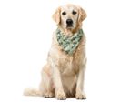 Abakuhaus Bandana Per Animali Domestici Vintage, Design Auto Sportiva Retrò, 55X55 Cm, Verde Pallido Blu Ardesia
