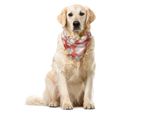 Abakuhaus Bandana Per Animali Domestici Antiquity, Motivo Floreale Barocco Astratto, 55X55 Cm, Salmone-Corallo E Bianco