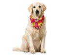 Abakuhaus Bandana Per Animali Domestici Con Motivo Floreale Acquerellato, 40X40 Cm, Multicolore