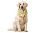 Abakuhaus Bandana Per Animali Domestici Vintage, Acquerello Ananas, 55X55 Cm, Arancione Giallo Chiaro Verde