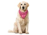 Abakuhaus Bandana Damascata Per Animali Domestici, Motivo Floreale Barocco, 55X55 Cm, Rosa Pallido Rosa Essiccata