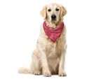Abakuhaus Bandana Per Animali Domestici Con Cerchi, Tema Boho Cerchi Moiré, 55X55 Cm, Multicolore