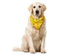 Abakuhaus Bandana Per Animali Domestici Con Motivo A Squame Di Pesce, Squama Mermaid Scales, 55X55 Cm, Giallo Senape Chiaro